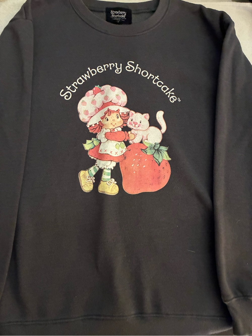 Strawberry Shortcake Kids Dark Gray Fleece Sweatshirt w/her pink cat